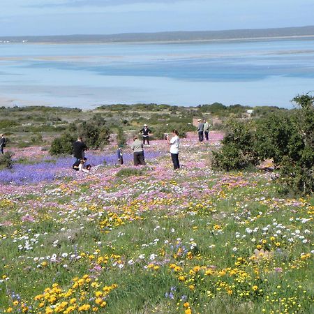 Le Mahi Guest House Langebaan Εξωτερικό φωτογραφία