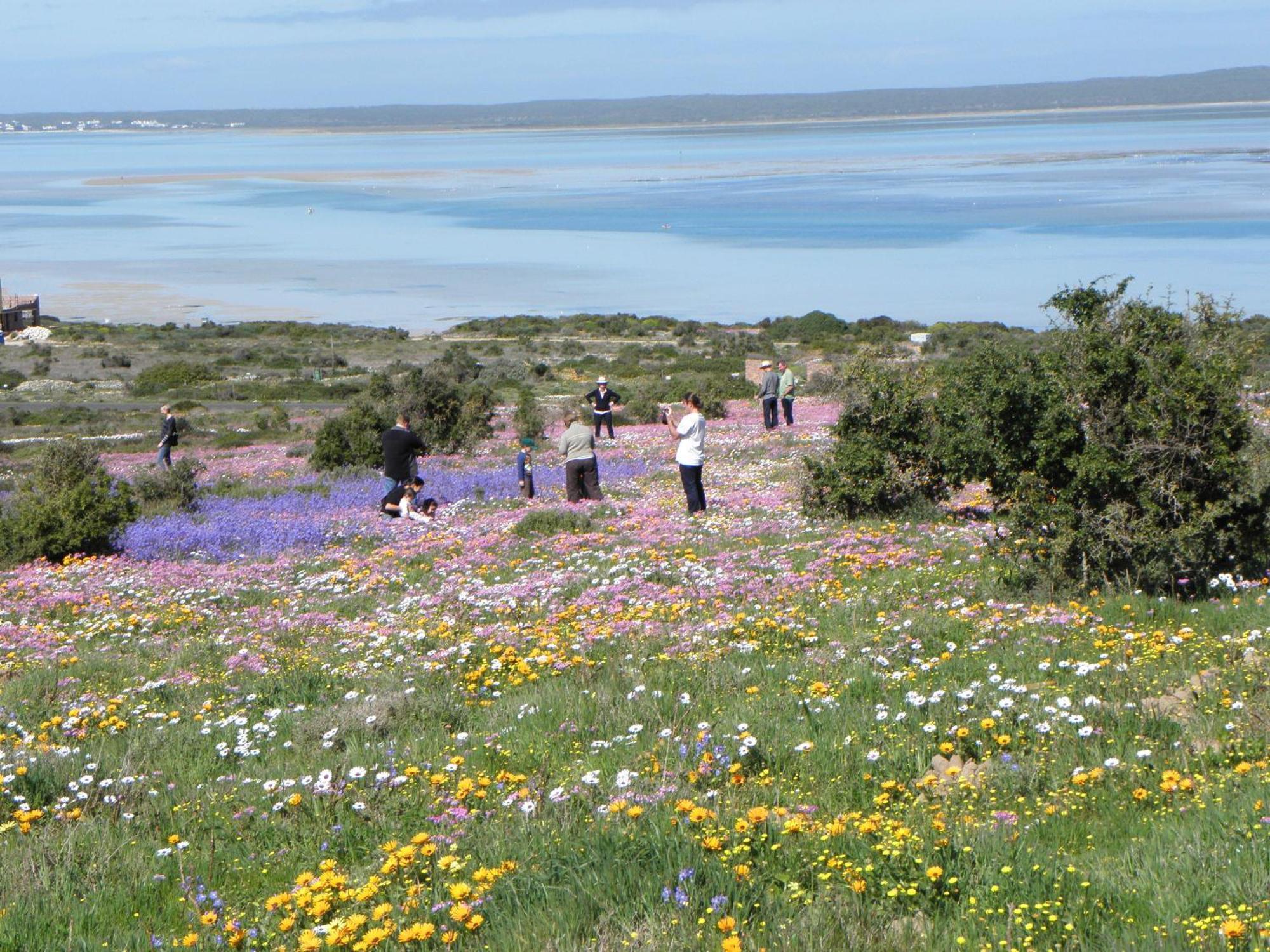 Le Mahi Guest House Langebaan Εξωτερικό φωτογραφία